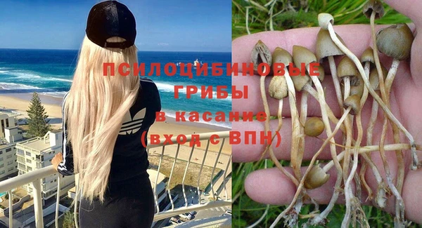MESCALINE Зерноград