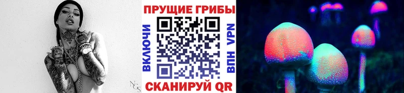 Галлюциногенные грибы Psilocybe  Купить где  Хадыженск 